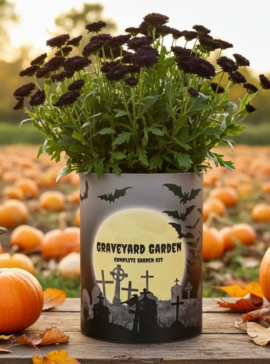 Graveyard Garden Grocan Seed Kit